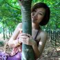 Pachira Macrocarpa, Guiana Chestnut Seed 30 PCS, Ma Laba Li