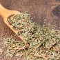 Organic Herba Cacumen Platycladi 250g Chinese Arborvitae Twig Great Quality Herb Powder