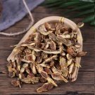 Organic Herba Fructus Sophorae Pagodatree Pod 250g Fruit of Sophora Japonica Huai Jiao Herb Powder