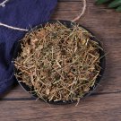 Organic Herba 250g Cardiospermum Halicacabum Lesser Balloon Vine Healthy Tea