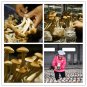 Dried Tea Plant Mushrooms 250g Pure Natural Agrocybe Aegerita Great Quality