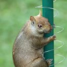 Squirrel Metal Spring Coil Barrier for Birdfeeder Pole Keep Squirrels Away