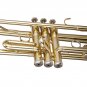 Student Bb Trumpet Windsor MI-1001 Outfit Including Case Music Musician Gifts