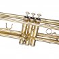 Student Bb Trumpet Windsor MI-1001 Outfit Including Case Music Musician Gifts