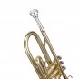 Student Bb Trumpet Windsor MI-1001 Outfit Including Case Music Musician Gifts