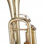 Student Bb Trumpet Windsor MI-1001 Outfit Including Case Music Musician Gifts