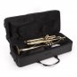 Student Bb Trumpet Windsor MI-1001 Outfit Including Case Music Musician Gifts