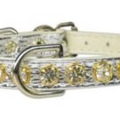 Mirage Pet Products No.16 Dog Collar, 12-Inch, Silver