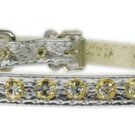 Mirage Pet Products No.10 Dog Collar, 12-Inch, Silver