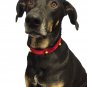 Bow Arrow Pet Holiday Dog Collar, Quilted Red Velvet Dog Collar with Bells, Sm