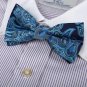 EBD1B06B Microfiber Excellent Anniversary Gifts Fashion Blue Patterned Pre-tied