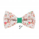 Bow Tie House Bright Deer bow tie green color Christmas pattern
