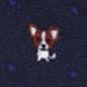 Flairs New York Pet Lovers' Collection Pocket Square (Midnight Blue / Polka Dots