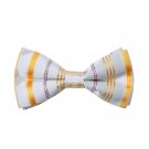 DBD7A08D Silver Gold Stripes Microfiber Mens Bow Tie Fitness Fabric Pre-tied Bow