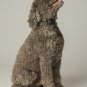 Educator Thick-Haired Contact Points for Educator and Einstein Remote Dog Traini