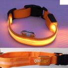 LED Flashing Lights Dog Collar Nylon (Orange, Medium)