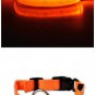 Dog Collar, LED dog pet collar – USB Rechargeable - cable included, Ultra Brig