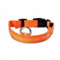 Dog Collar, LED dog pet collar – USB Rechargeable - cable included, Ultra Brig