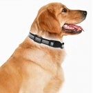 LED Dog Necklace Collar USB Rechargeable Loop Available in 4 Colors Pink Green B