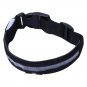 LED Dog Necklace Collar USB Rechargeable Loop Available in 4 Colors Pink Green B