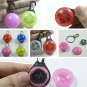 LED Clip-on Pet Safety Light Great for Runners and Dog Walkers Flashing Color Li