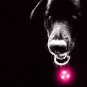 ZABURA LED Dog Collar Light Pendant | Water and Shock Resistant | Dog Outdoor Ac