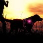 ZABURA LED Dog Collar Light Pendant | Water and Shock Resistant | Dog Outdoor Ac