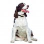 No Bark Dog Collar with Vibration Beep, Rainproof Rechargeable 7 Sensitivity Lev
