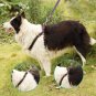 Bark Lover Pet Denim Dog Collar Leash Harness Traction Rope Leash for Training