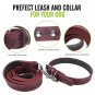 Bark Lover Designer Print Collar and Leash Set (Simulated Leather), for Medium L