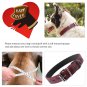 Bark Lover Designer Print Collar and Leash Set (Simulated Leather), for Medium L