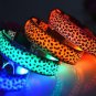 Speckled Adjustable LED Dog Collar (Red, Small)