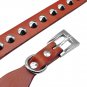PET ARTIST Genuine Leather Studded Rivet Dog Collar- Heavy Duty Pet Collars(Brow