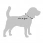 CollarDirect Rolled Leather Dog Collar, Soft Padded Round Puppy Collar, Handmade