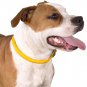 CollarDirect Rolled Leather Dog Collar, Soft Padded Round Puppy Collar, Handmade