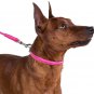 CollarDirect Rolled Leather Dog Collar, Soft Padded Round Puppy Collar, Handmade