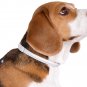 CollarDirect Rolled Leather Dog Collar, Soft Padded Round Puppy Collar, Handmade