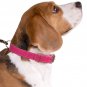 CollarDirect Genuine Leather Dog Collar, Handmade Collar for Dog, Soft Puppy Col
