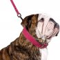 CollarDirect Genuine Leather Dog Collar, Handmade Collar for Dog, Soft Puppy Col
