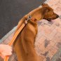 Reflective Nylon Choke Collar Slip Show Obedience Training Gentle Choker for Ex