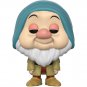 Snow White and the Seven Dwarfs Sleepy Pop! Vinyl Figure Pop BOX PROTECTOR