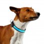 LED Pet Collar Rechargeable Light Up Dog Safety Collar Blue Large