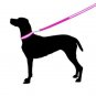 Safety Dog LED Collar Flashing Light up, Glow and bright (Ships From USA) (Small