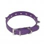 Dog Kingdom Pu Leather One Row Studded Spiked Adjustable Dog Collar