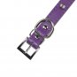 Dog Kingdom Pu Leather One Row Studded Spiked Adjustable Dog Collar