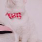 Adjustable Collars for Puppy -ZoraSelena Small Pet Dog Collars with Buckle Leath