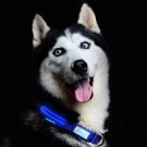 Outdoor Metal Buckle LED Dog Collar, USB Rechargeable, Available in 7 Colors