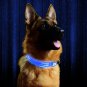 Outdoor Metal Buckle LED Dog Collar, USB Rechargeable, Available in 7 Colors