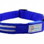Outdoor Metal Buckle LED Dog Collar, USB Rechargeable, Available in 7 Colors