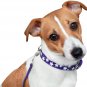 CollarDirect Reflective Dog Collar Glow in the Dark, Genuine Leather Dog Collar